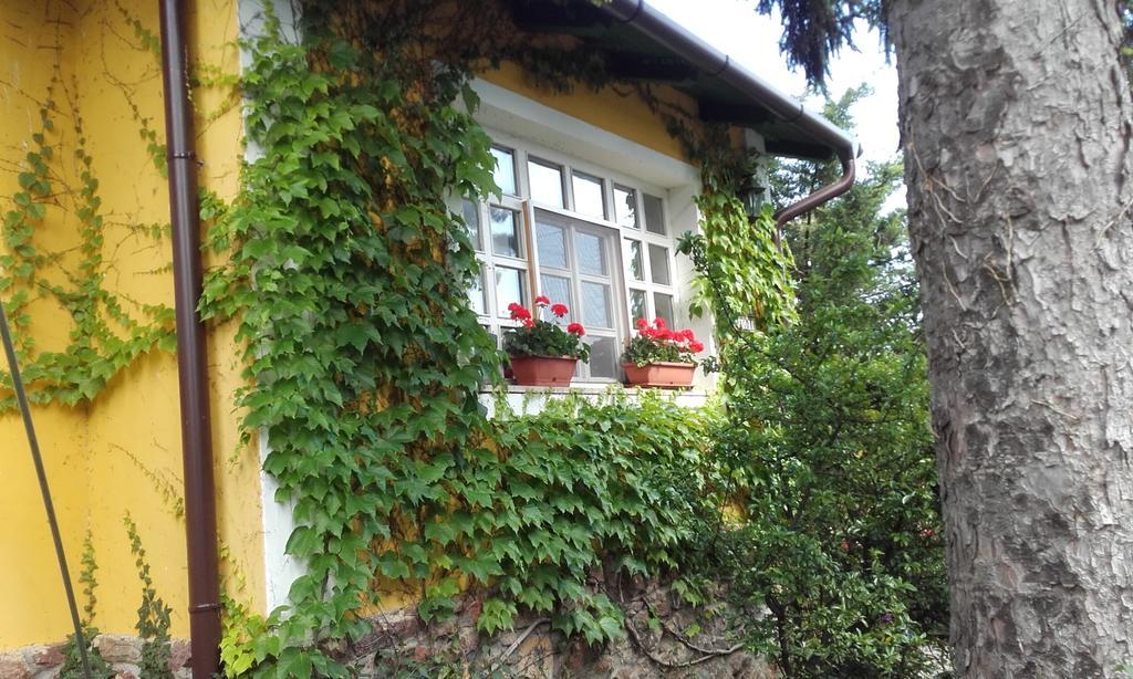 Villa-Magdi Vendégház Révfülöp Extérieur photo