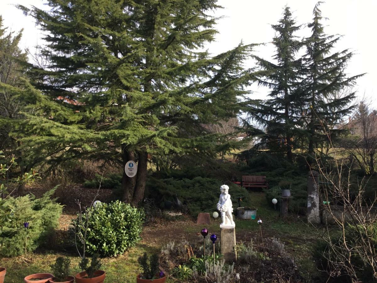 Villa-Magdi Vendégház Révfülöp Extérieur photo